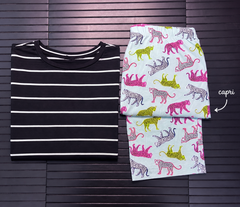 Safari stripe