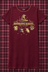 Harry Potter’s-Hogwarts School