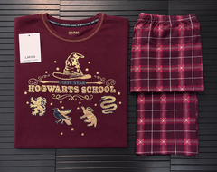 Harry Potter’s-Hogwarts School